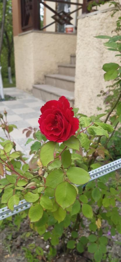 Gabala Sweet Home Exterior foto